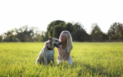 Labrador – Der perfekte Familienhund?